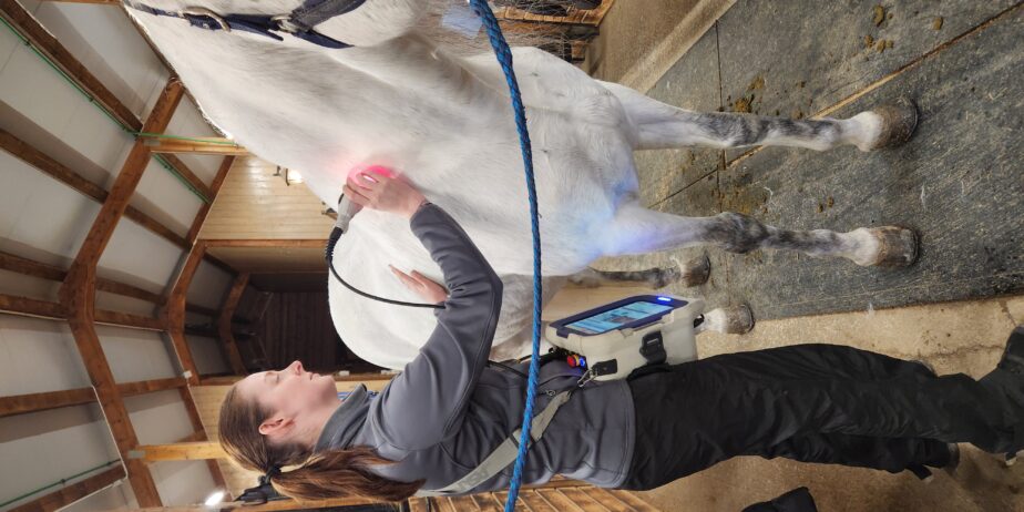 Equiterapeut finnes