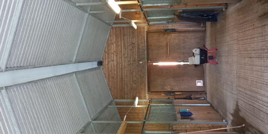 Stalltvätt