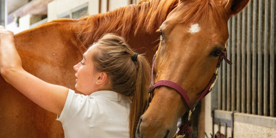 Akupunktur och massagebehandlingar