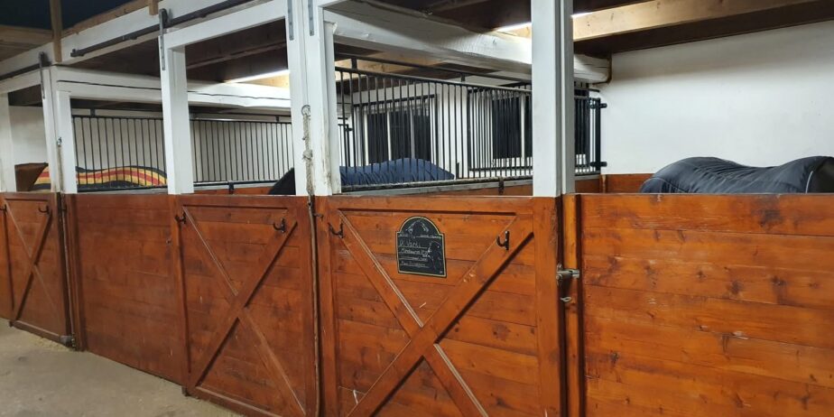 Stallplats ledig i Bollebygd