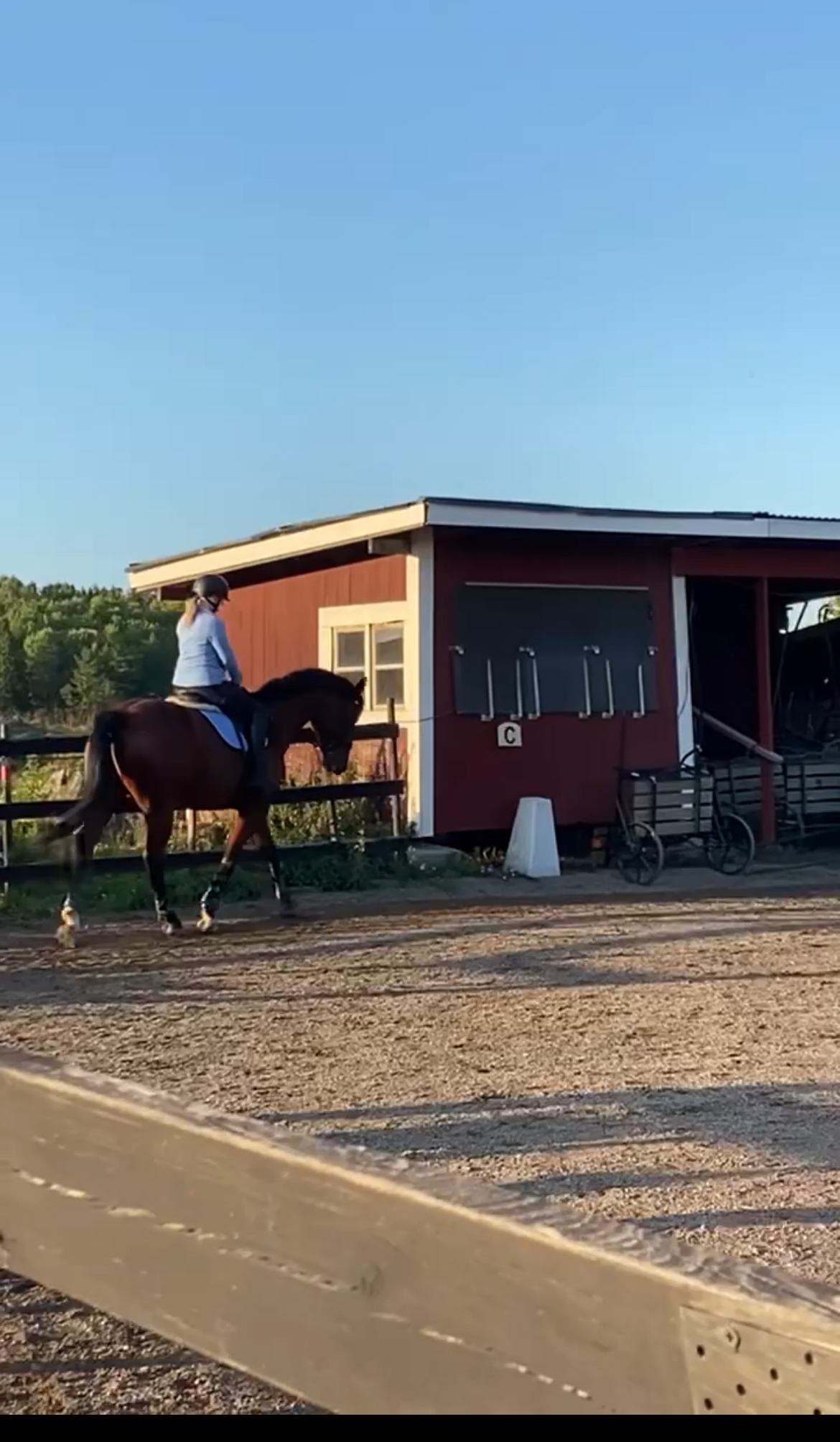 Söker medryttarhäst