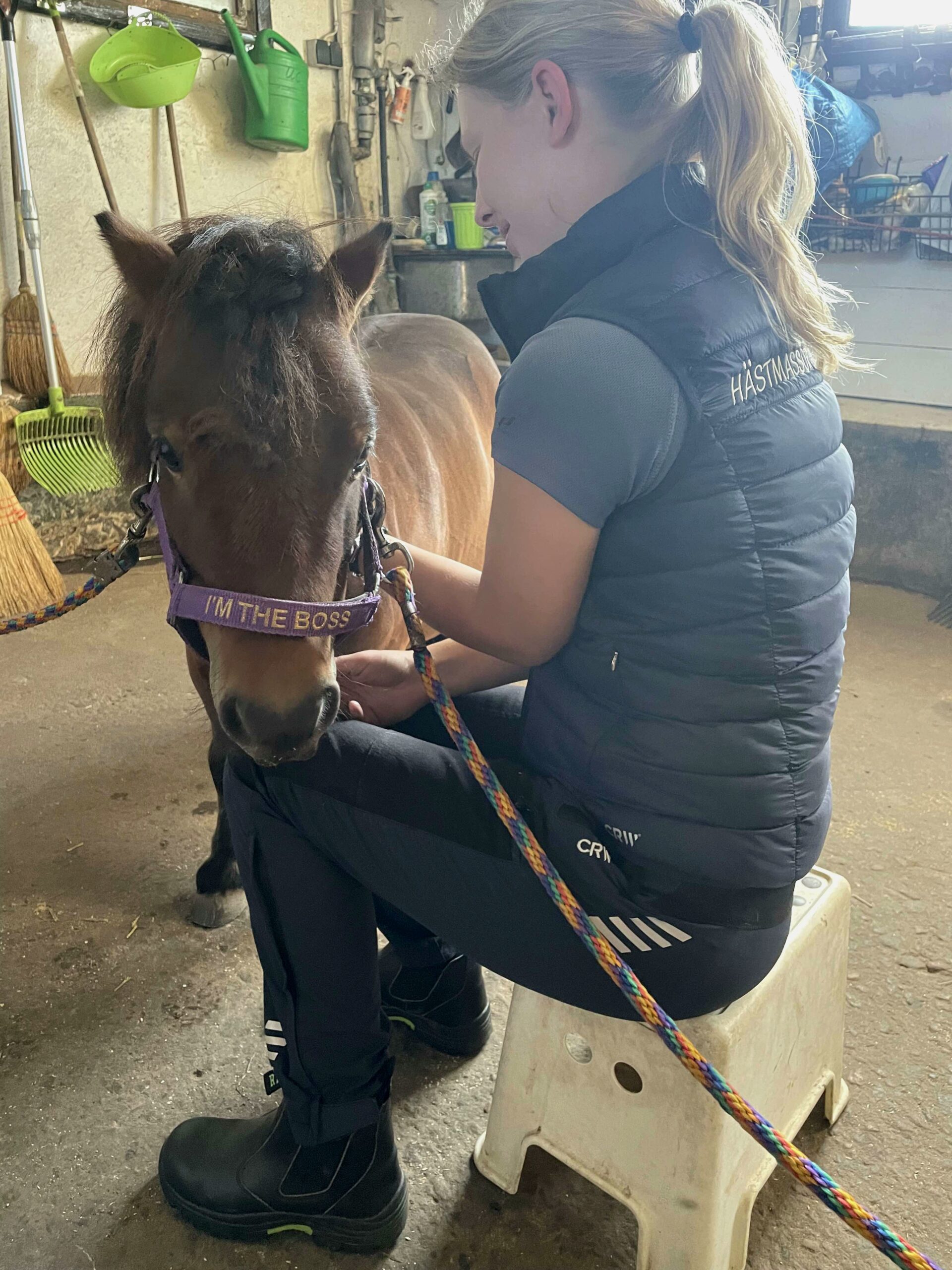 Hästmassör och lymfmassör