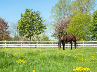 Skarmbild-2026-02-24-095635