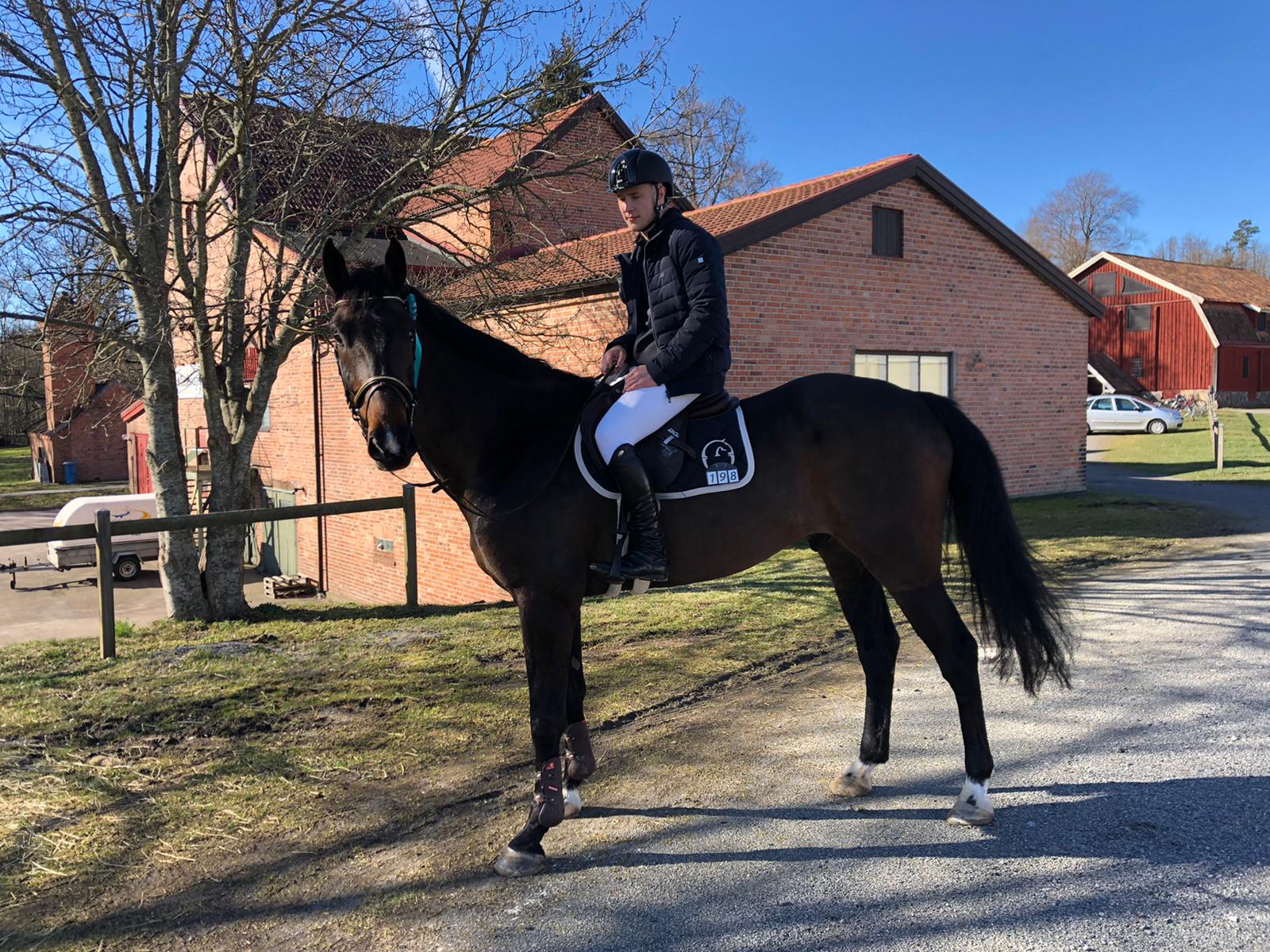 Hopphäst för de stora klasserna