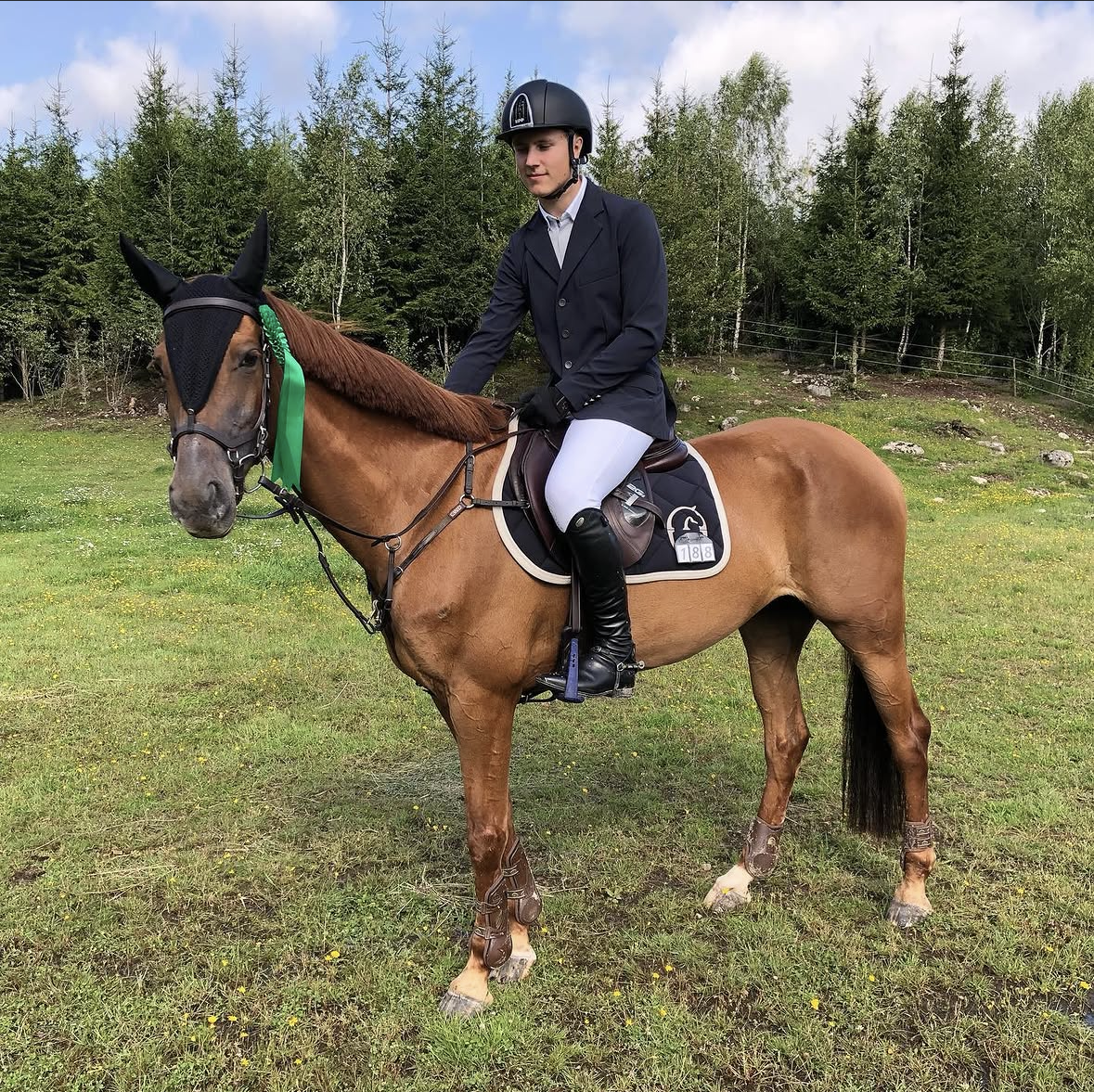 Trevligt sto söker nytt hem